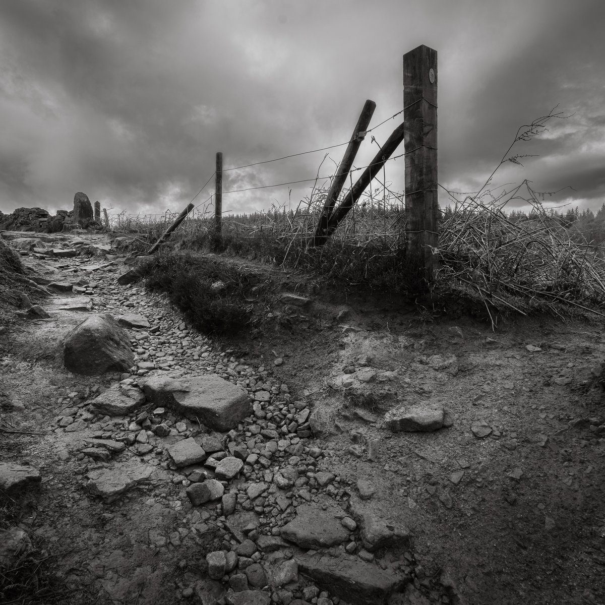 basculeteller's tweet photo. An afternoon around Langsett in B&W #photography #landscape #Yorkshire #Thurlstone #Penistone #7km #Flâneur #psychogeography #DarkFairytale #RuralMarginalia #bw #BlackAndWhite #monochrome https://t.co/Jyjd8PQyGA