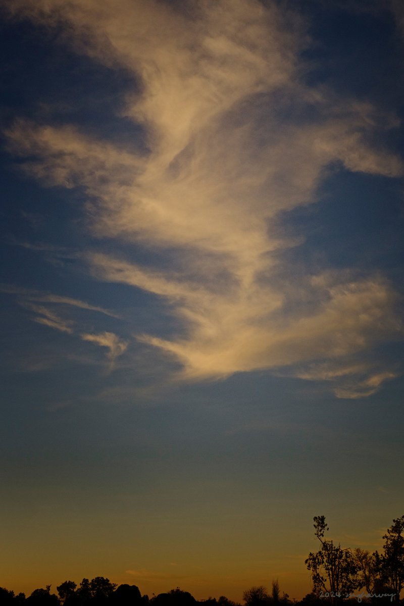 melindagharvey's tweet photo. That evening last month had a lovely sunset.

City of Lubbock Cemetery
Lubbock, Texas
photographed 12.10.2023
#photography #onedayoneimage #thingsisee #reasonstostop https://t.co/feoqJxZ6Oy https://t.co/IIukBuBYrz