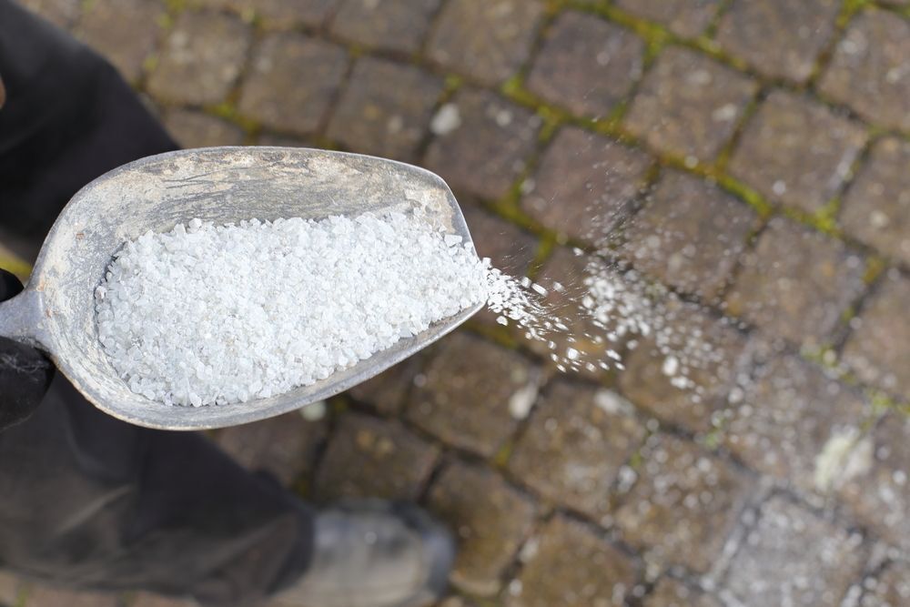 💰Save cash, help the lake: How to use driveway salt properly! Learn more from Cottage Life here  buff.ly/3RNGff6
#lake #environment