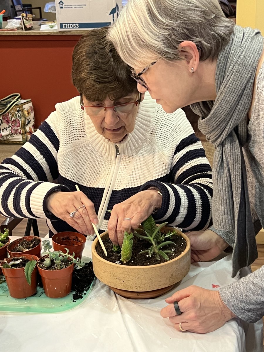 JewishHomeRoc's tweet photo. We had another "plantastic" visit at Marian's House with Bambi Orban, who provides horticulture therapy for guests on Wednesday afternoons! The group had a blast learning about succulents and creating a dish garden. https://t.co/ABAOTnKzEX