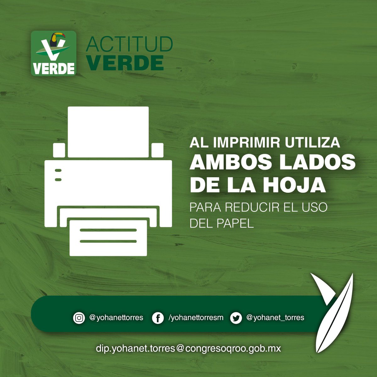 yohanet_torres's tweet image. #TipVerde
@quintanaroopvem