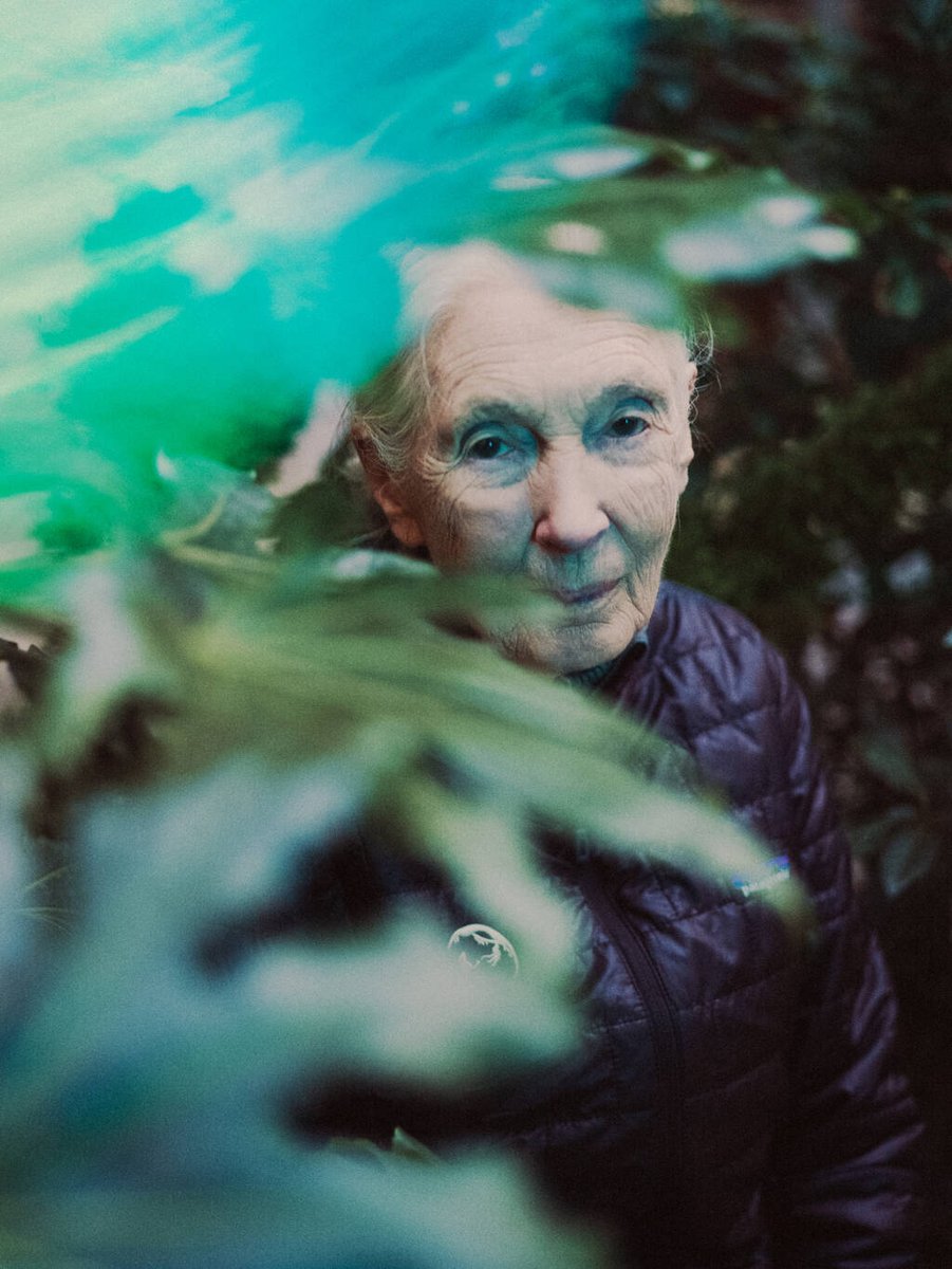 Libération tweet media