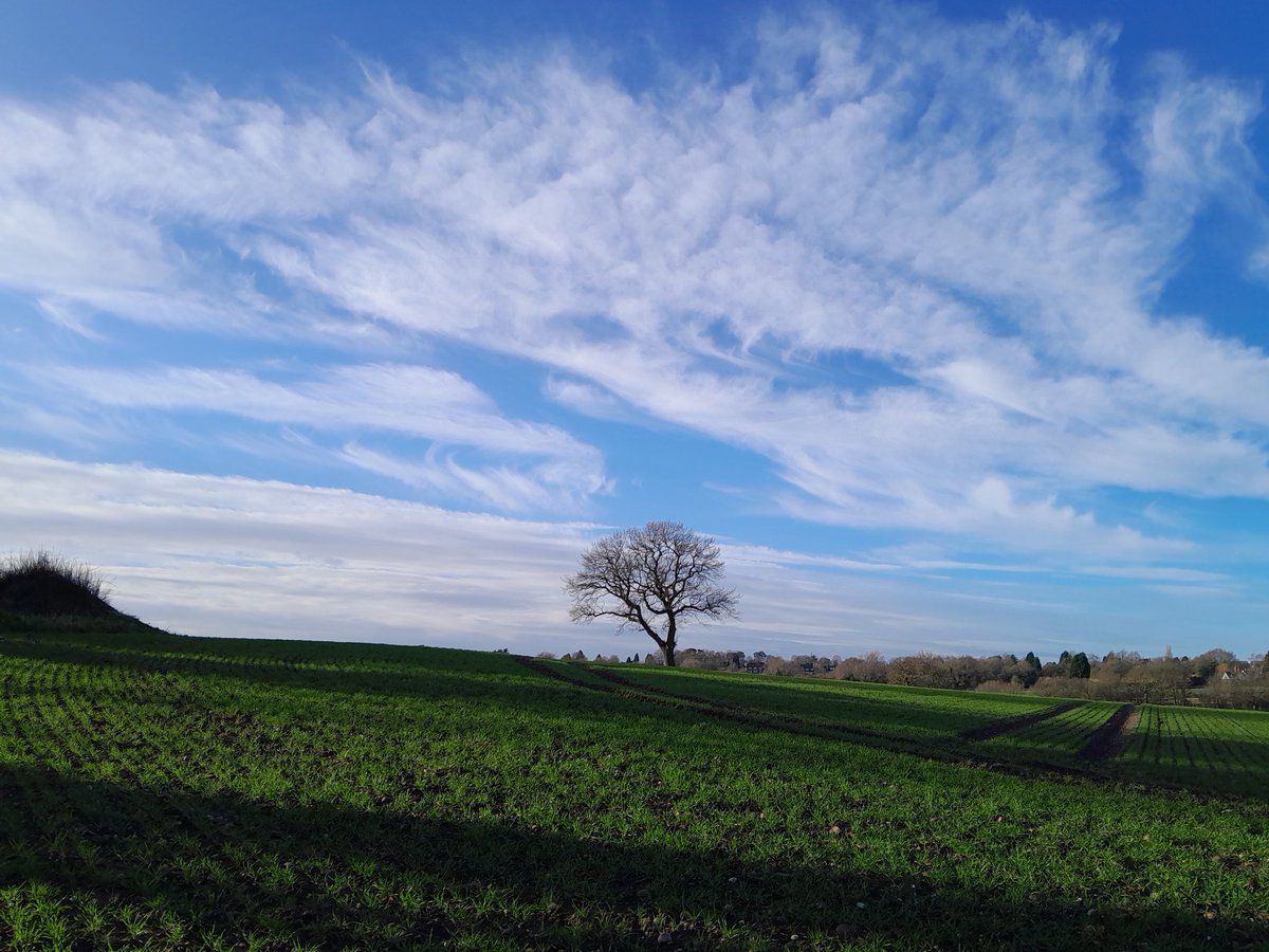 When the sun is shining and the sky is blue. Beautiful clouds. Simple pleasures.