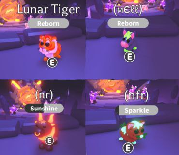 okimfinemaybe's tweet photo. 16x neons giveaway!  

16 winners!

rules:

follow me

like and retweet

ends in 2 weeks

kw:roblox robux rbx gw royale high adopt me mm2 rh rhd dims diamonds halo halos sets set am fly ride tier amp pet mfr m mega trade trades trading mw mm trading for cross weapons

good luck! https://t.co/eM51V5Fy0R