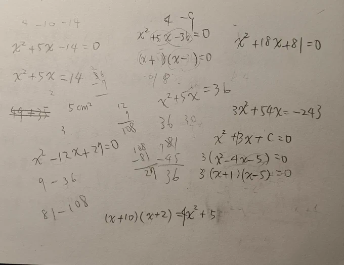 配信を見ながら青くんと一緒に数学を計算しました!最終的には青くんと一緒に答えを見つけられてとても嬉しかったです。最後まで答えを導き出した青くんはかっこいいです!店長も四時間以内に二次方程式を教えることができて本当にすごいです…二人ともお疲れ様でした!
#青くん天才すぎて店長嬉しい 