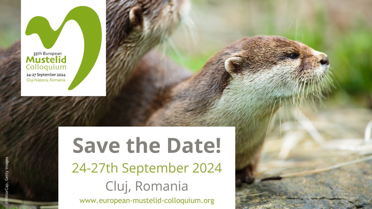MustelidColloq's tweet photo. #35EMC will be held in Cluj, Romania 🇷🇴 in September 2024!  

Watch this space for further announcements 🐾  

For more information visit
https://t.co/GGNZrb0psT https://t.co/FLX0DL0BD8