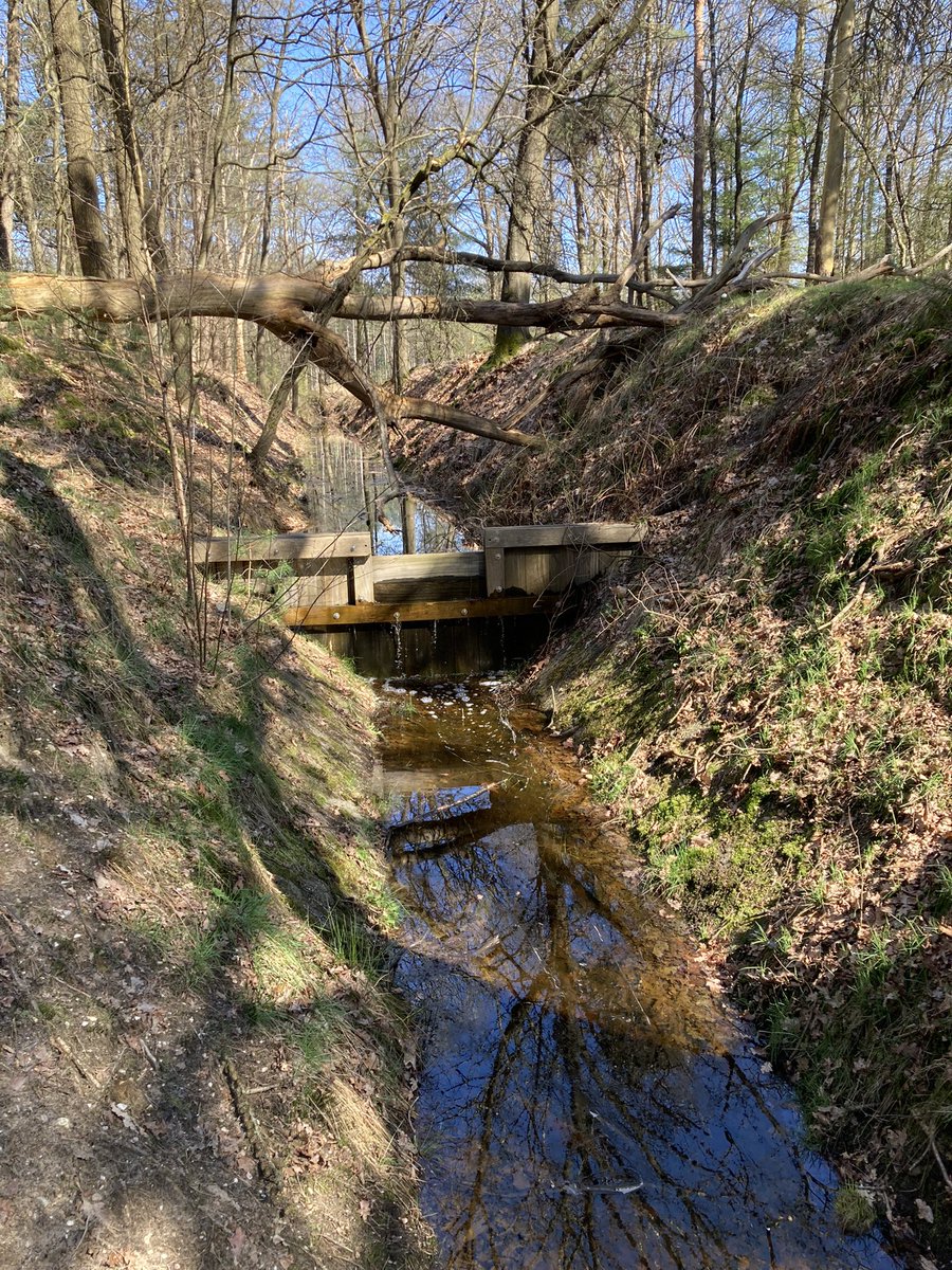 Nat. Extreem nat. Overal. Veel en langdurig neerslag. Benieuwd hoe het bos en de natuur hierop reageert. Het gaat ongetwijfeld ten koste van maar het levert ook iets op. Indrukwekkend om te zien en ervaren. @Natuurmonument <a href="/aaenmaas/">aaenmaas</a>