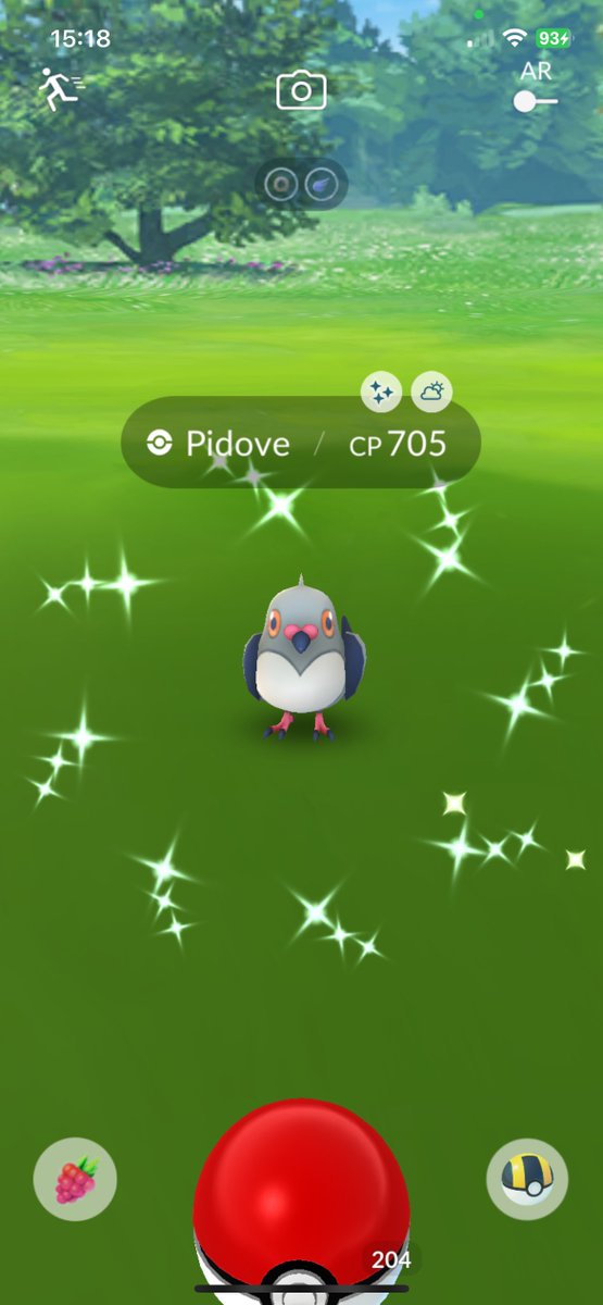 valencePG's tweet photo. first shiny of 2024 sitting at home 😌 https://t.co/tfzxQPLAOO