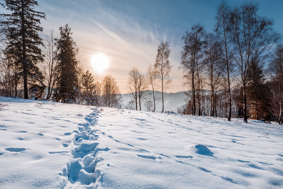 UrsHauenstein's tweet photo. For 2024? I will try to leave the beaten paths step by step and take new ones. Maybe this will help me find completely different possibilities for practical and more sustainable solutions. I look for effectiveness and observe the impact.
#UrsHauenstein #UpReSkilling https://t.co/bjORx3P42m