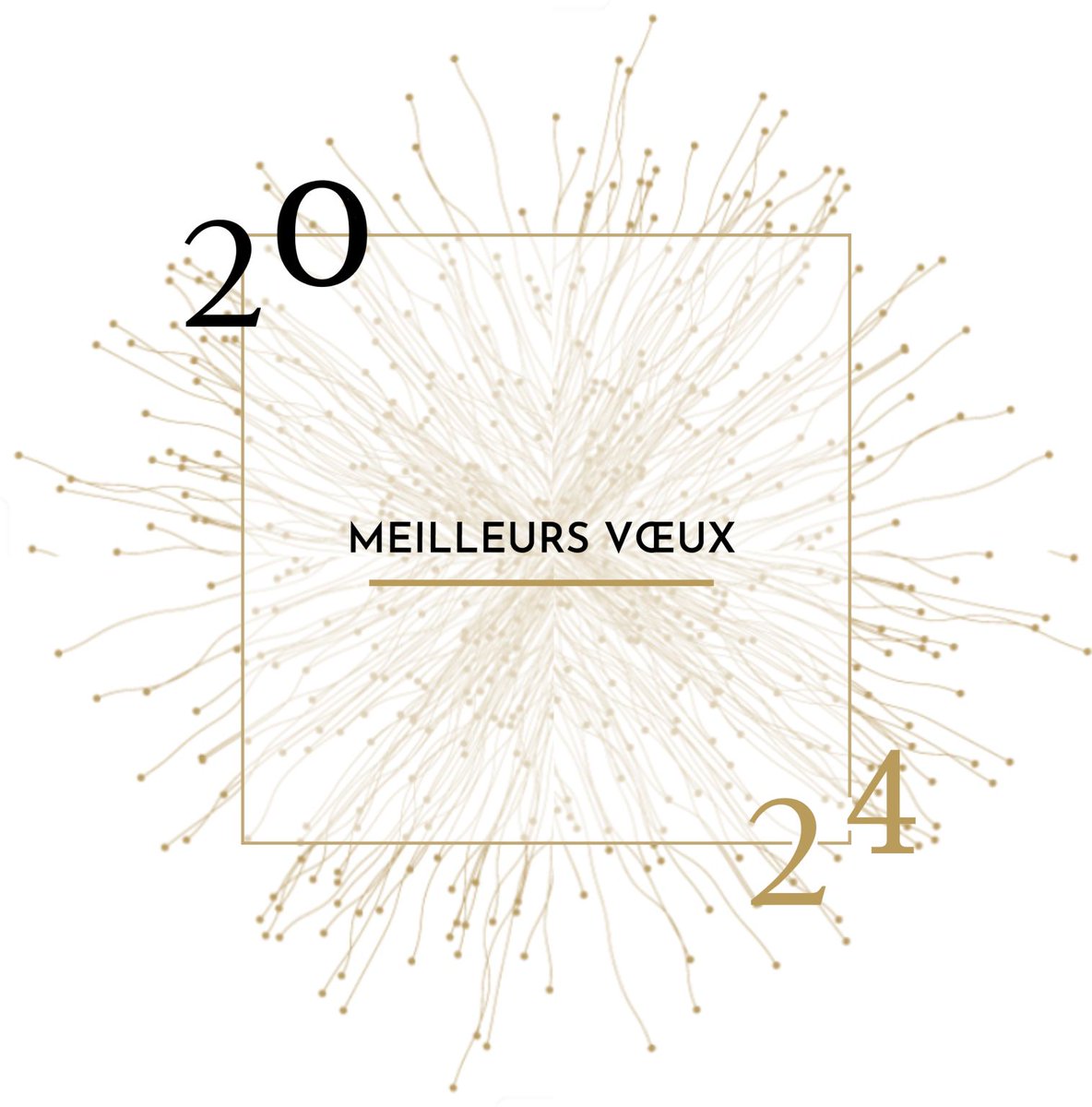 🎉#HappyNewYear | Toute l'équipe ASPIM vous présente ses meilleurs vœux pour l'année 2024 ! 🎊