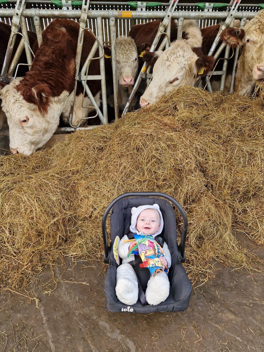 Emmlous82 tweet media