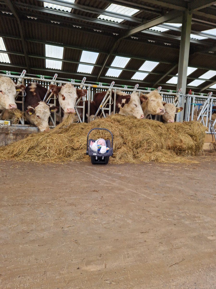 Emmlous82 tweet media