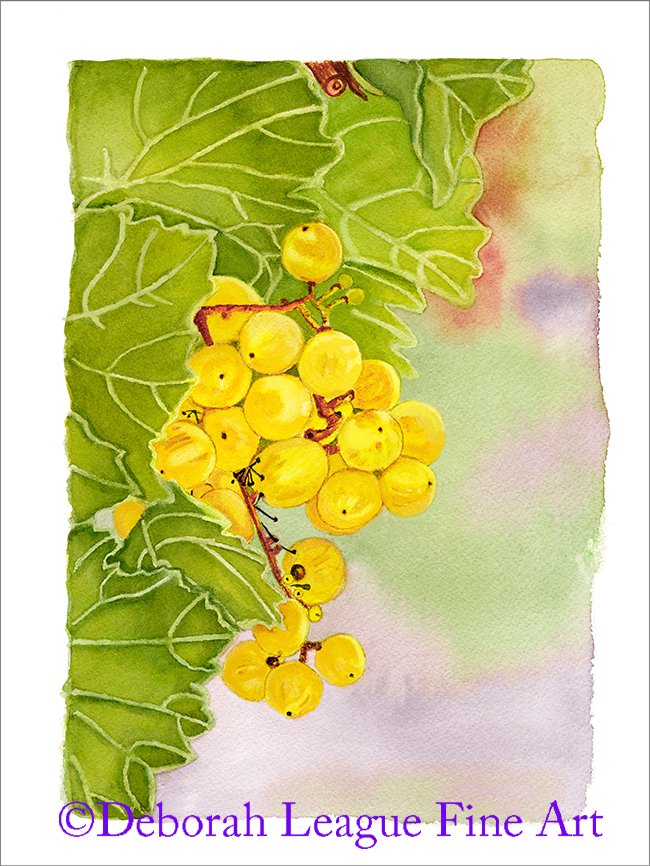 Grapes on the vine #grapes #watercolorpainting #artprint #wallart #kitchendecor #HomeDecor #foodart #foodies #giftideas #AYearForArt #BuyIntoArt #giftforcooks #winelover #fruitpainting #kitchenart #art #painting #watercolor #food #harvest #autumn 

ART - deborahleaguefineart.etsy.com/listing/745178…