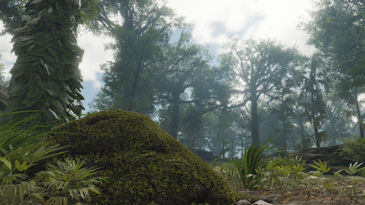 Chris_Kabigting's tweet photo. First moments worth capturing. 📸✨ #TomClancyGhostReconBreakPoint #TomClancy #GhostReconBreakPoint #GhostRecon #VirtualPhotography #virtualphotographer #TheCapturedCollective #VPGAMERS #VPEclipse #PhotoDenUC #WorldOfVP #VPRT #ThePhotoMode https://t.co/HdejQrJ3Xu