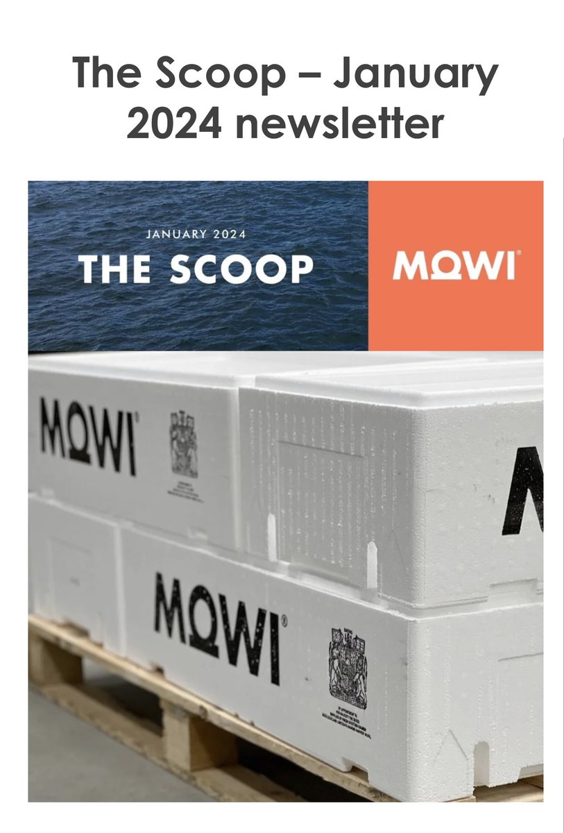 Newsletter | January 𝐓𝐡𝐞 𝐒𝐜𝐨𝐨𝐩 Out Now! Happy New Year. Welcome to our first newsletter of 2024, as we start the new year we have lots of good news to share ⬇️ mowi.com/uk/blog/2024/0…