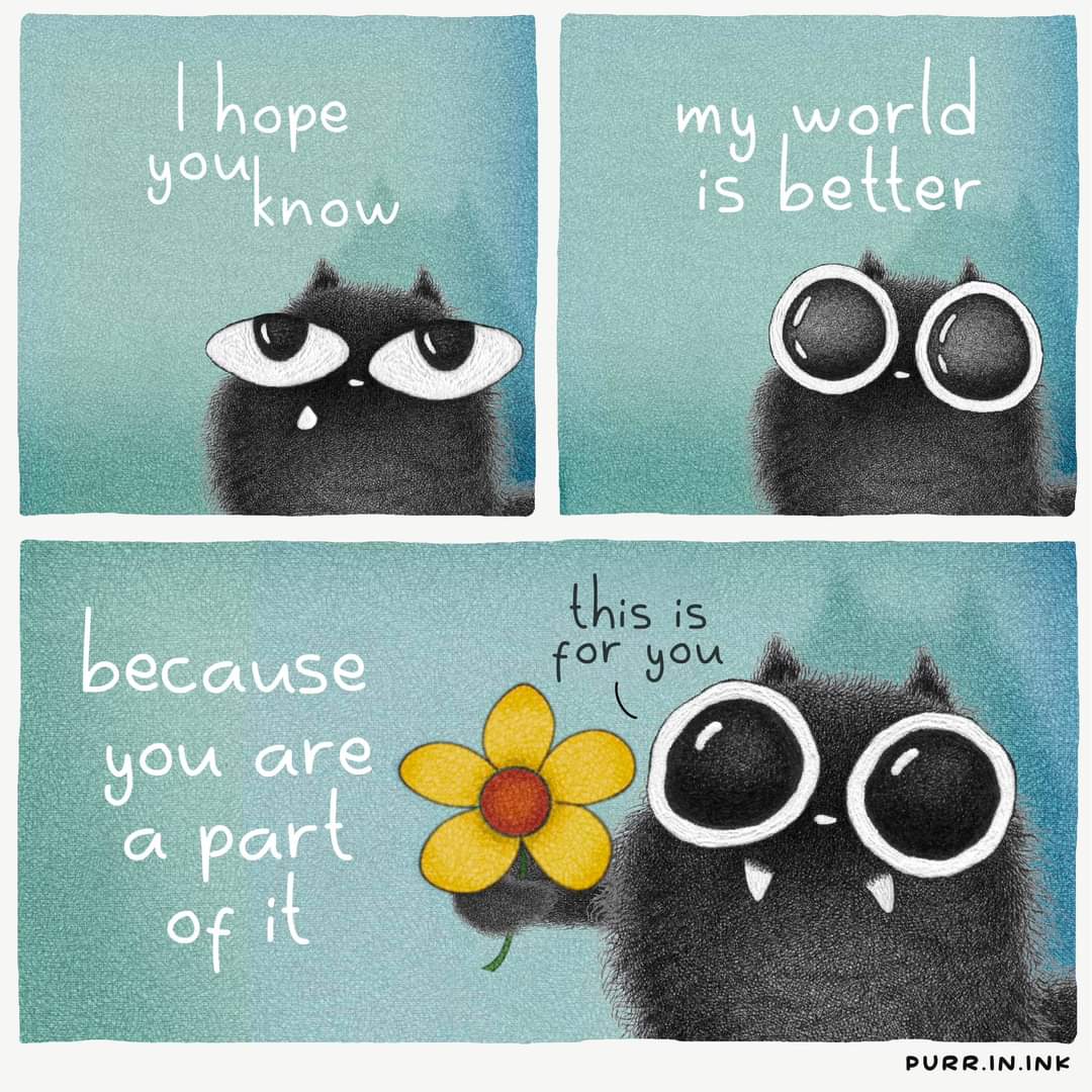 purrin.ink 🐈‍⬛🖤