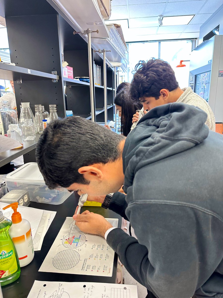 Mrs_Sforza's tweet photo. 🌈 Science Research 10 students mastered micropipetting skills through STEAM, creating vibrant colors and designing unique patterns. 👩‍🔬🎨 The future of science and innovation is in their hands! #ScienceEducation #STEAM #ScienceSkills @klibertini2 https://t.co/mvRzbg1uMA