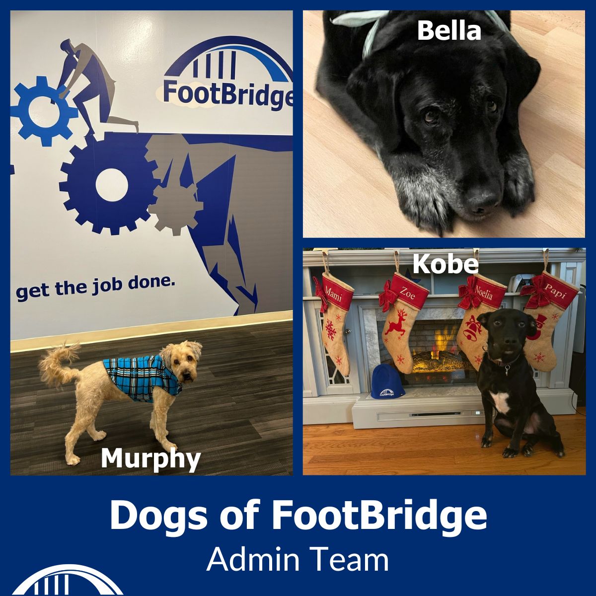 FootBridge tweet media