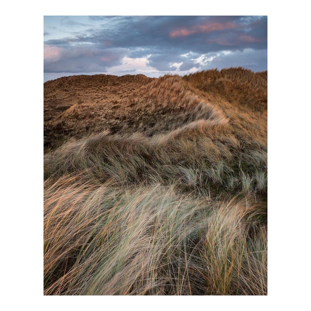 JonGibbsPhoto's tweet photo. Forvie , Aberdeenshire https://t.co/lJCm9cLU6u
