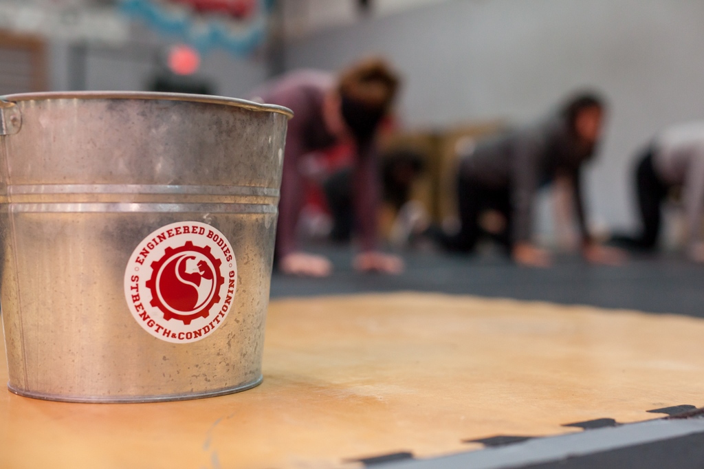 Engineered Bodies tweet media