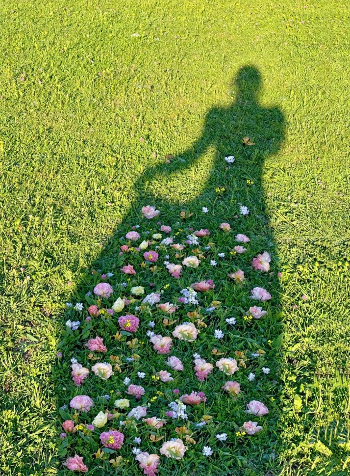 fairyprxncess's tweet photo. so pretty https://t.co/NauKr93Vwz
