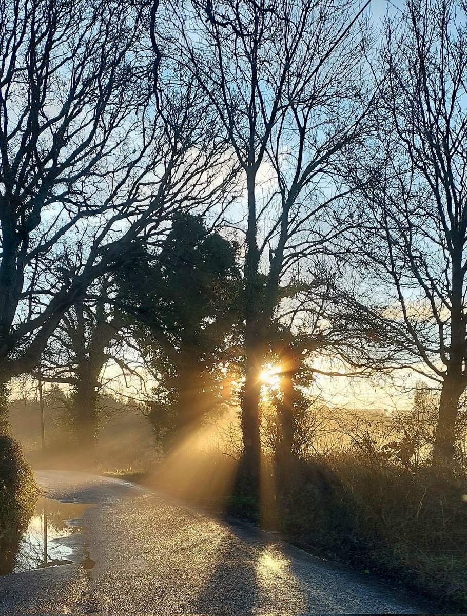 First sunny morning of the new year...