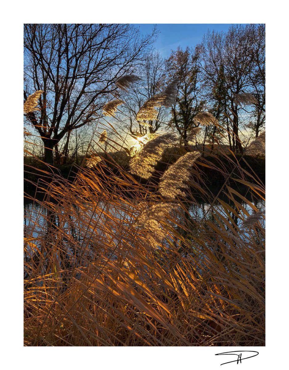 Toujours le canal...
#Canaldumidi #Ramonville #occitanie
1er janvier 2024