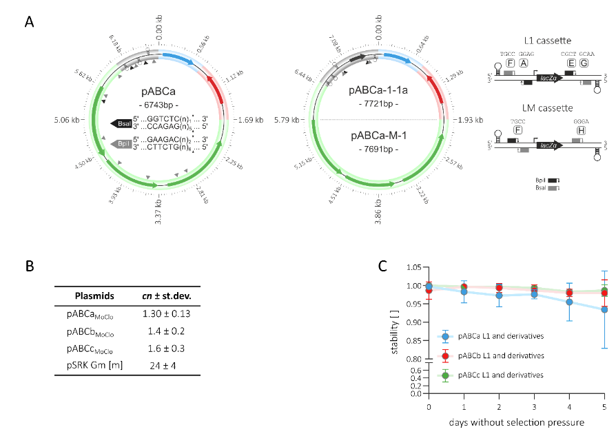 BioDesignR's tweet photo. #ArticleinPress
A MoClo-compatible toolbox of ECF sigma factor-based regulatory switches for proteobacterial chassis
#BioDesignResearch #synbio #biodesign
https://t.co/zfoITrWj5T https://t.co/42nWl0vRfS