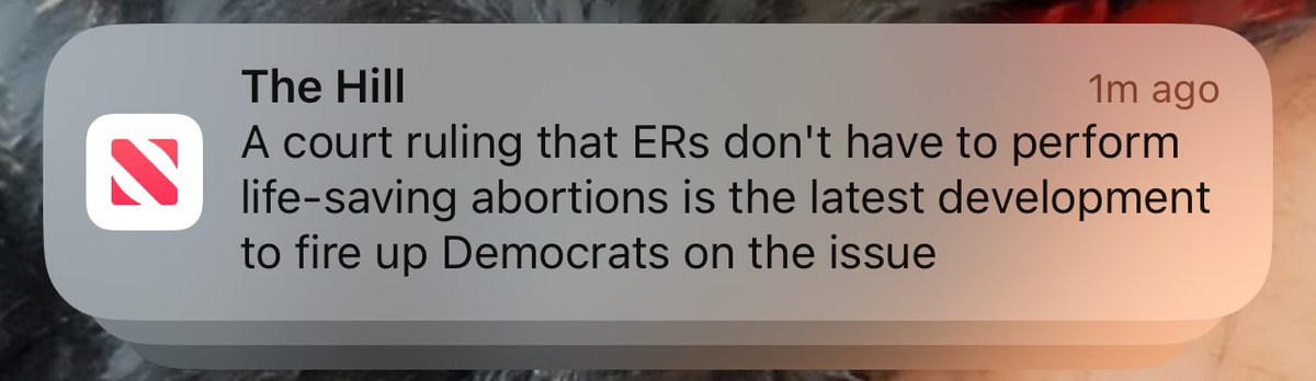 Tell me it’s an election year without telling me it’s an election year: #babiesasshields