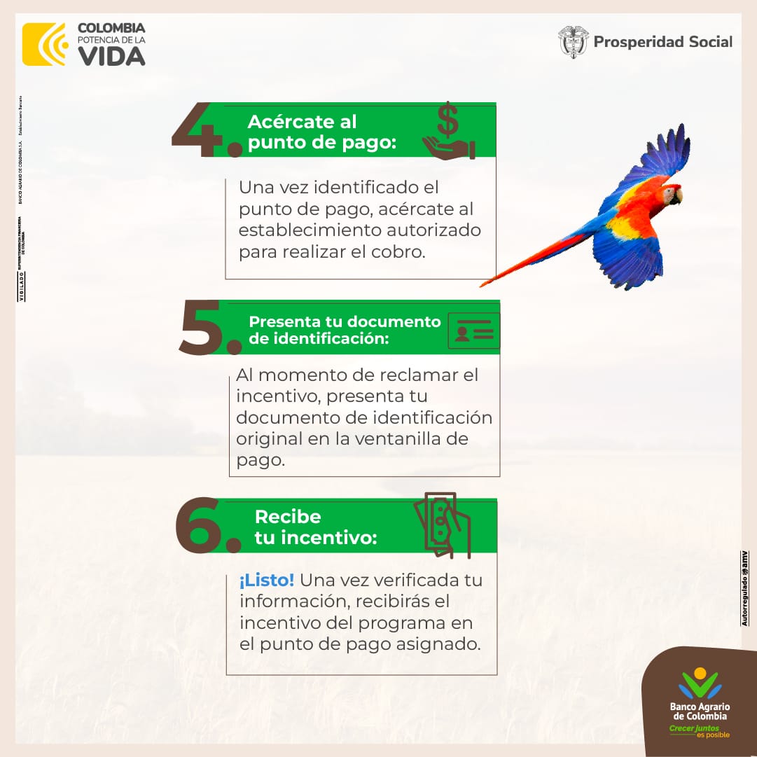ProsperidadCol's tweet photo. #Atención🚨🚨🚨beneficiarios del ciclo 5 de Tránsito a #RentaCiudadana: sigan este paso a paso si retiran su pago por corresponsal bancario.
Fácil, sin complicaciones, ni filas.
Ante consultas, pueden acudir a nuestros canales o al  WhatsApp del @BancoAgrario: +57 1 5948500. https://t.co/nDrB3viWJF