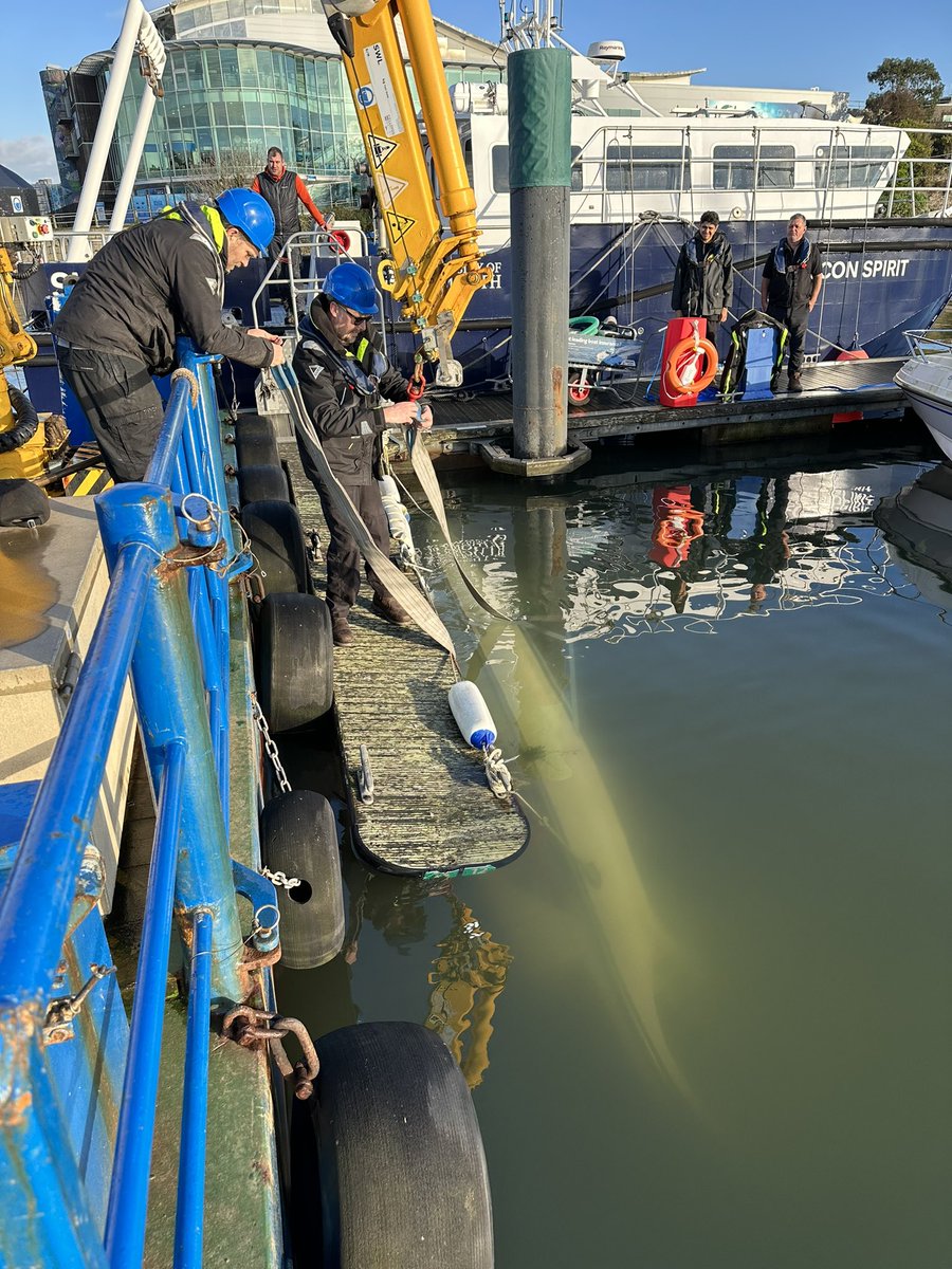 Sean Marshall tweet media