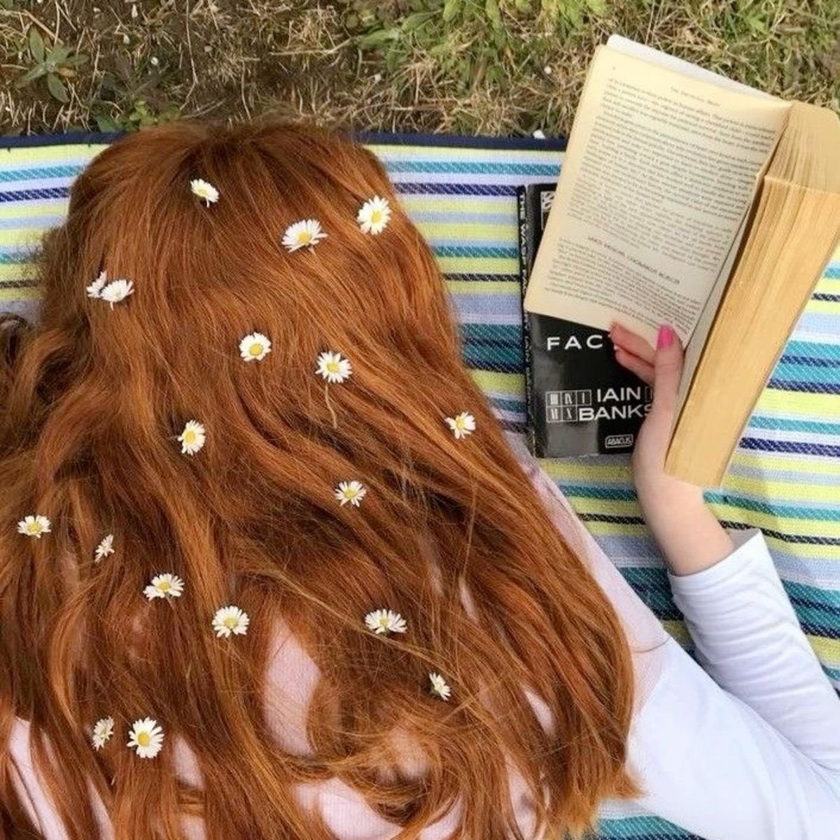 ㅤㅤ

                              𝐋𝐢𝐥𝐲 𝐄𝐯𝐚𝐧𝐬

Red Lilies are associated with many things, including love, desire, and passion. In some cultures, Red Lilies are also seen as a symbol of courage. 
ㅤㅤ