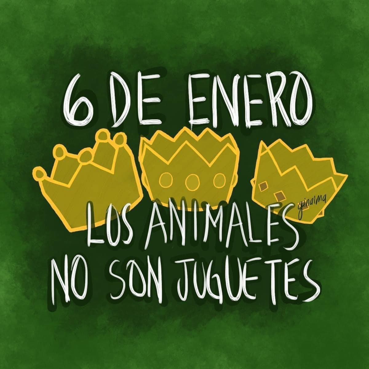 Los perros no son juguetes, ellos son familia y un compromiso de 15 años