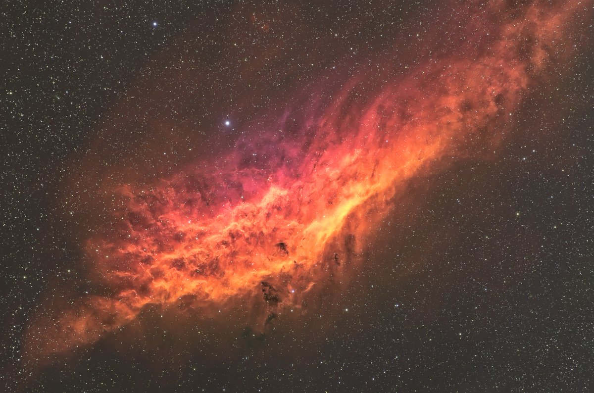 James Ritson tweet media