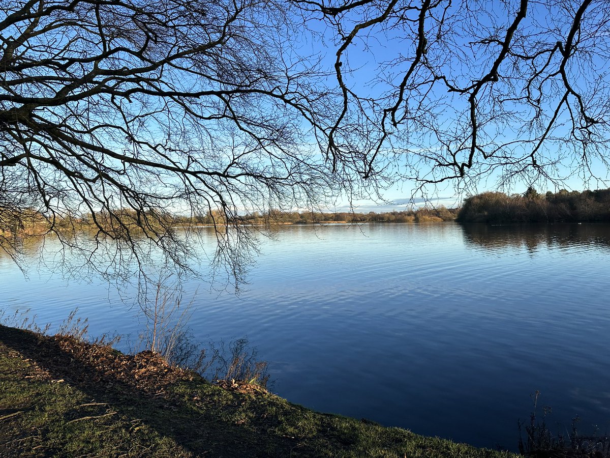 #PictureOfTheDay @GlasgowPhotoGal at Hogganfield Loch. #lochs #Scotland