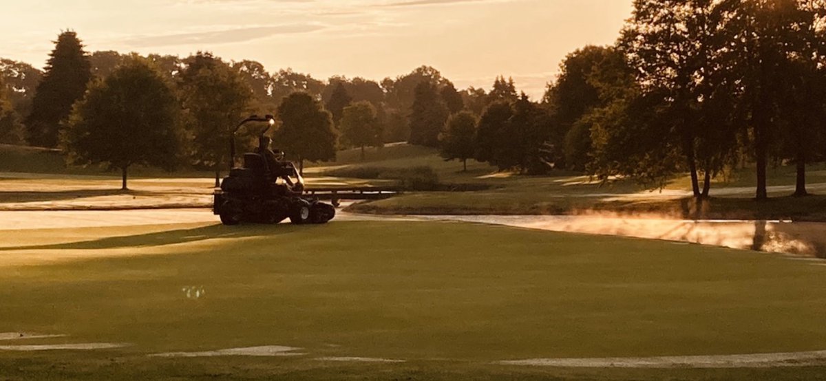 M Crawford tweet media