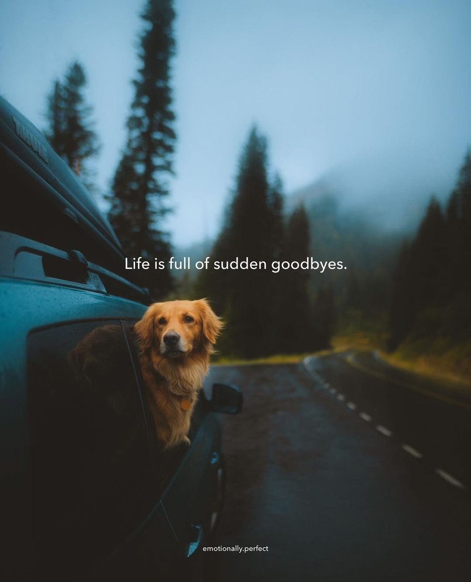 10 hard truths of life:

1.