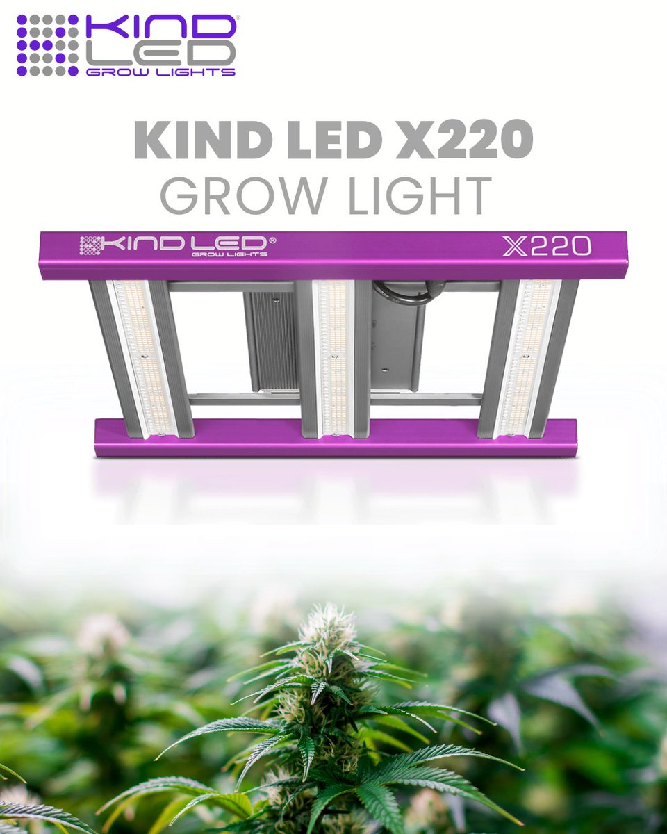 OfficialKINDLED's tweet photo. 🌟🌱 The X220 Kind LED Grow Light - Elevate your indoor garden with the X220 Kind LED. Get growing today! 🌻💡 #X220KindLED
 
⚡️ Shop KIND: https://t.co/0Lt8dLk7Ln https://t.co/6oeiM9t4WH