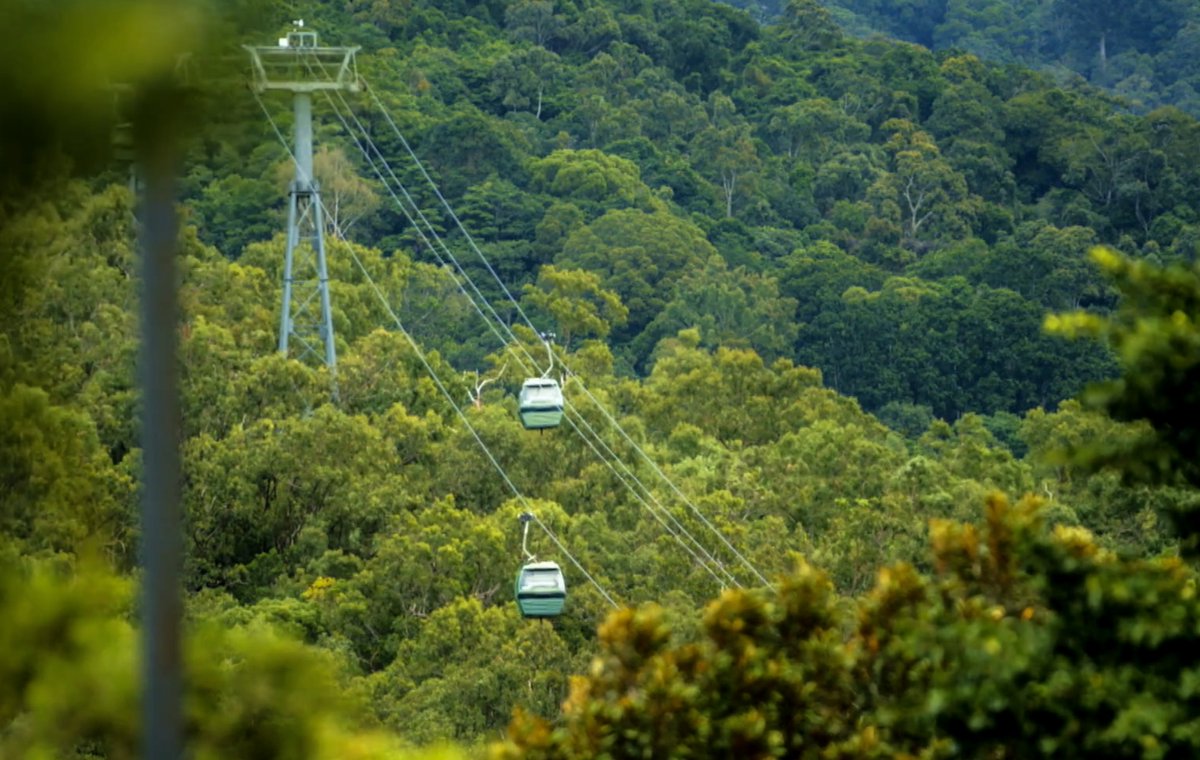 Follow_Alana's tweet photo. Did you know that the Skyrail Rainforest Cableway offers two different rides? One option is Red Peak and the other option is Barron Falls.  Which one would you choose? 🚠

https://t.co/oTndhyinKW https://t.co/UA8dQxvv81