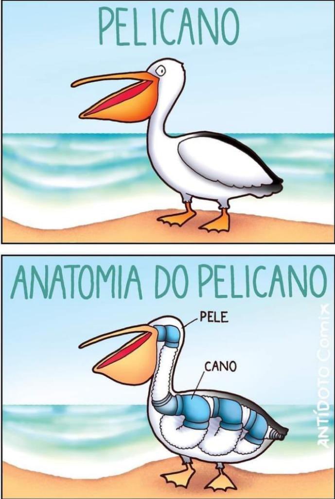 Shitpost só que de verdade (@shitpostverdade) on Twitter photo 