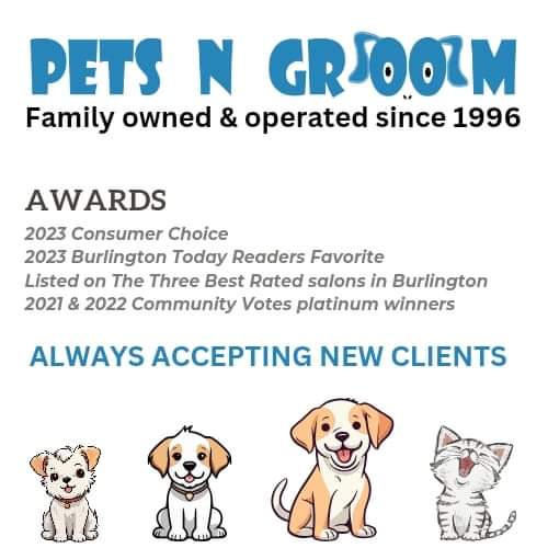 petsngroom's tweet photo. https://t.co/lC575KNwaq
