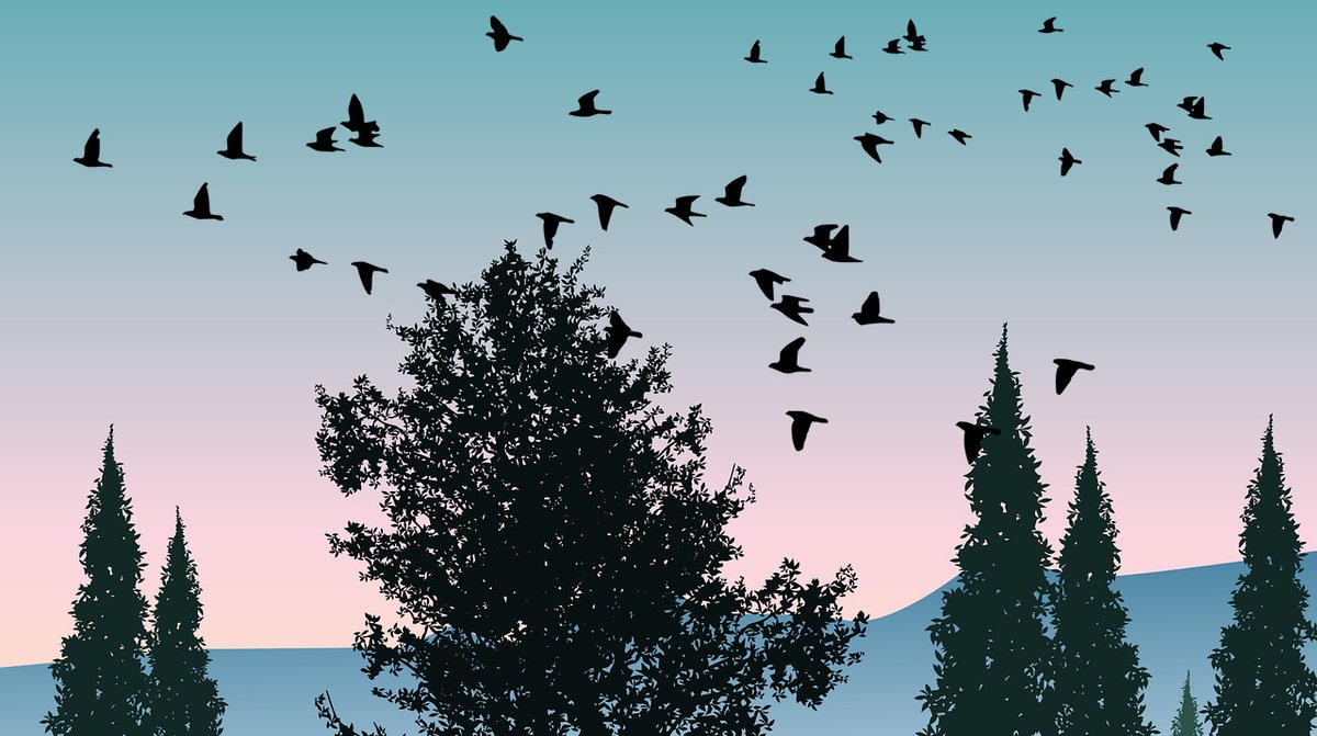 F.M. Brown's Sons, Inc. tweet media