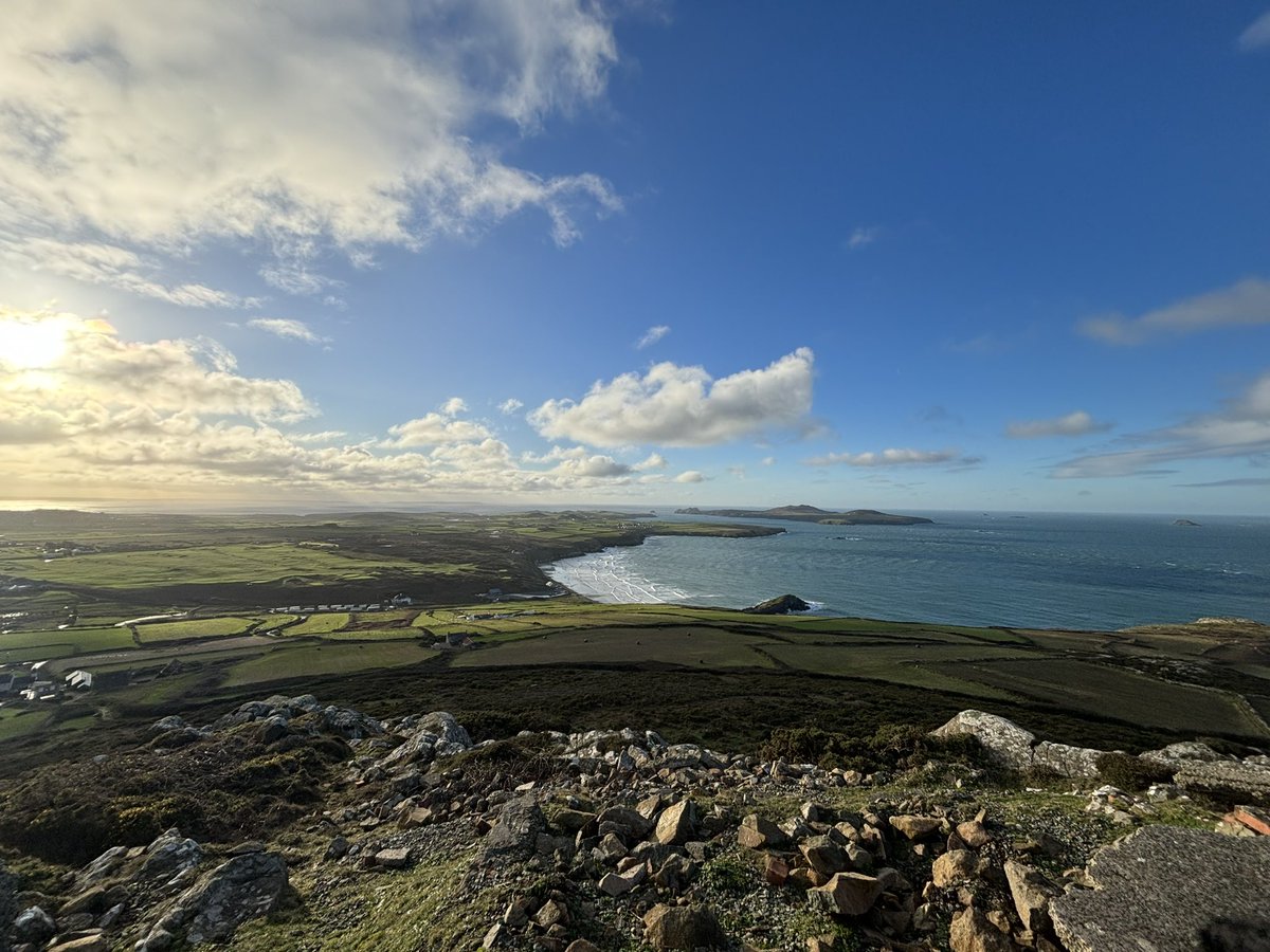 Paula Siddle tweet media