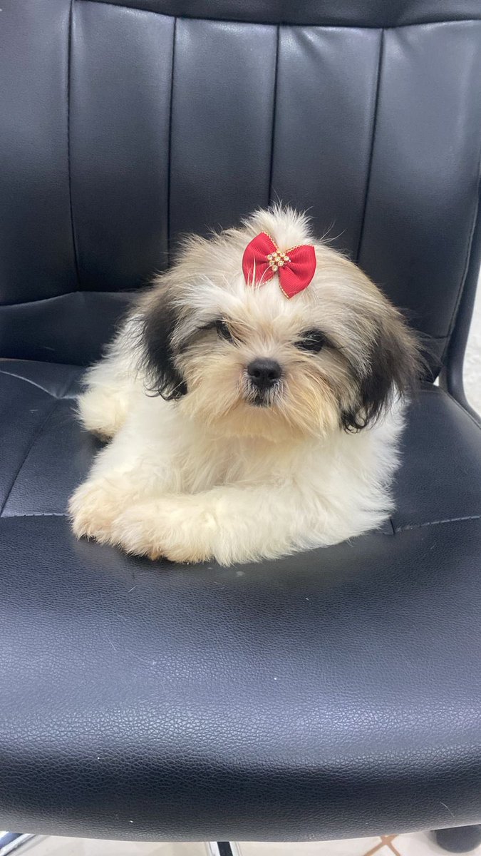 Meu neném ainda não aprendeu por aqui, então vai uma foto da minha princesa 🥰