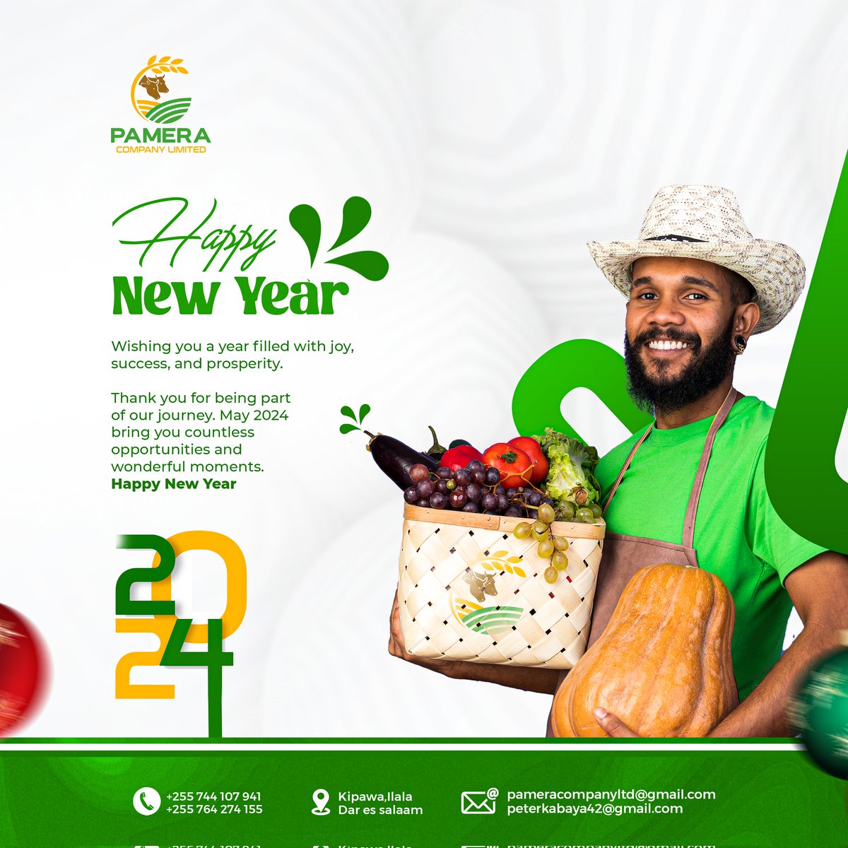 bizoart's tweet photo. Pamera poster designed for new year 2024 🎊 https://t.co/TBIa6WIIDz