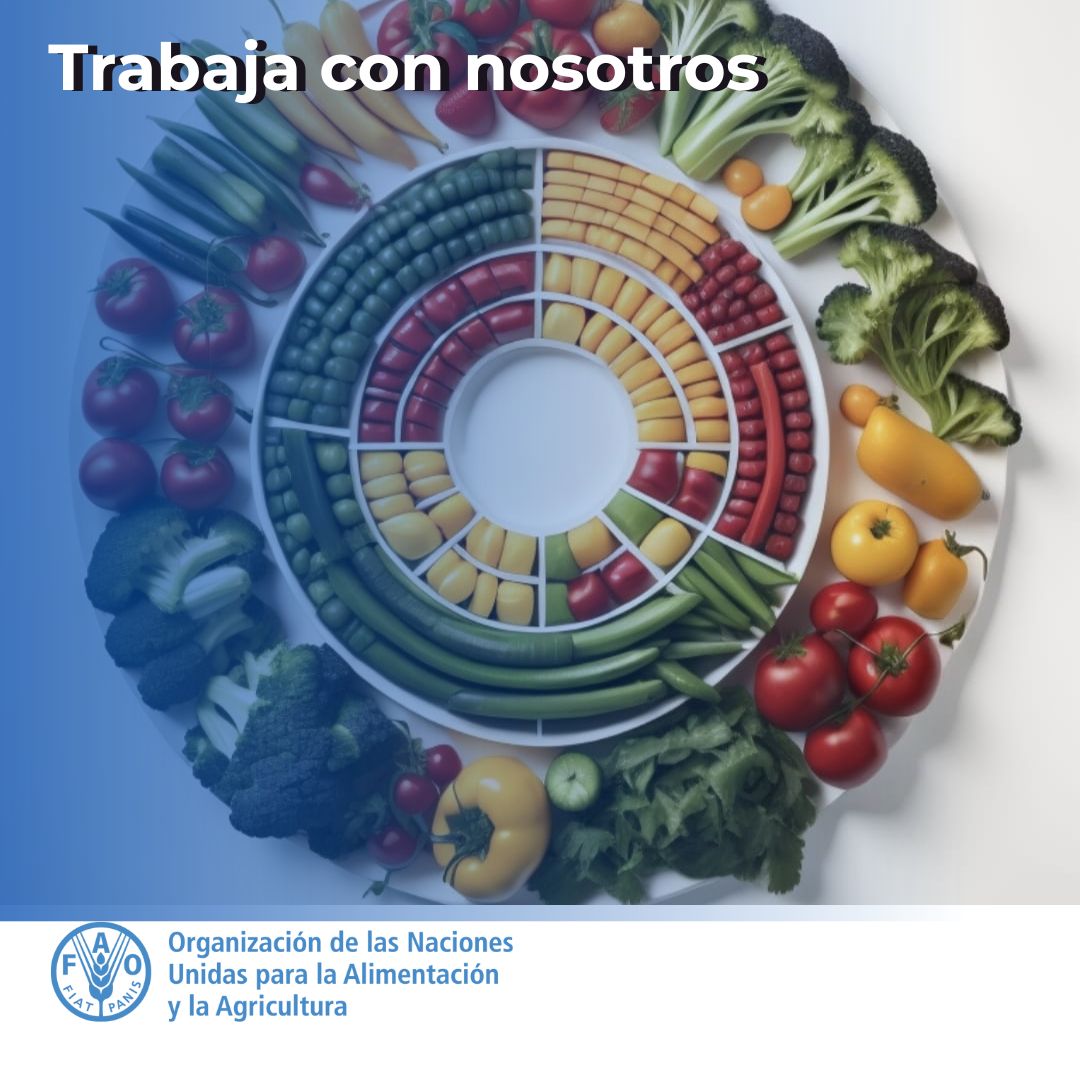 FAOPERU's tweet photo. En @FAOPERU necesitamos experto/a para coordinar proyectos en Mejor Nutrición y Agenda Urbana

Titulado de Ciencias Agrarias, Economía, Administración, Ciencias Sociales, Medio Ambiente, o afines.

Cierre de postulación 8 de enero 12 de la noche  https://t.co/fyRumAAWhb… https://t.co/e1Pt1Cu0cM