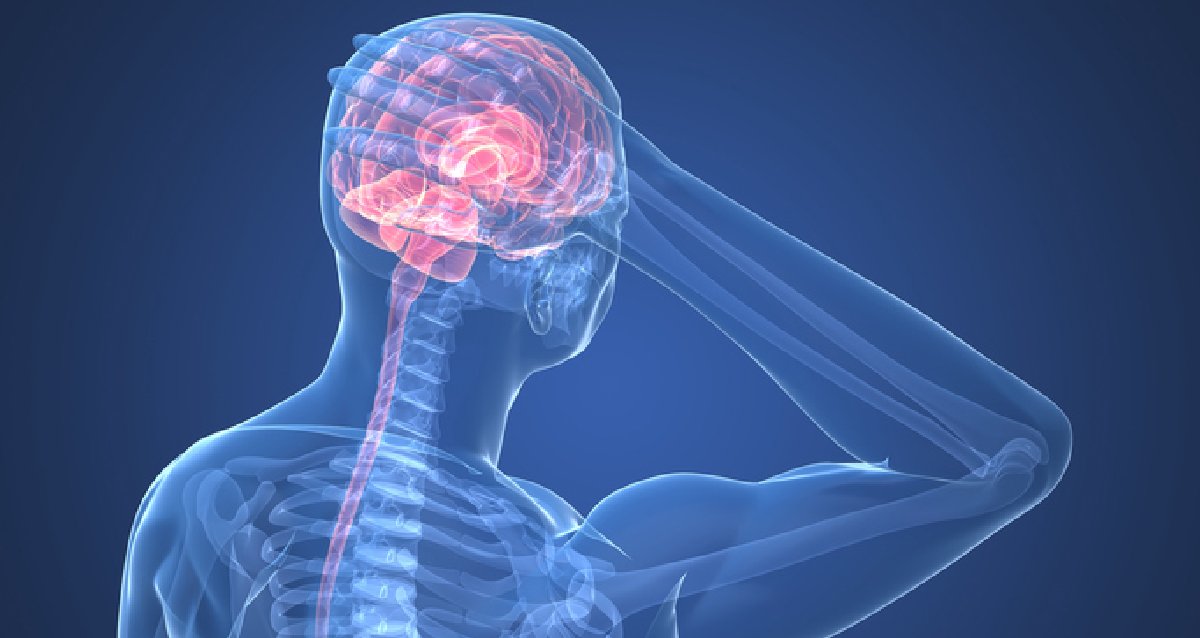 Mild dehydration can make you feel tired and give you a headache -- even your mental focus, mood, and memory can take a small hit. What to know: wb.md/3NHM6kO