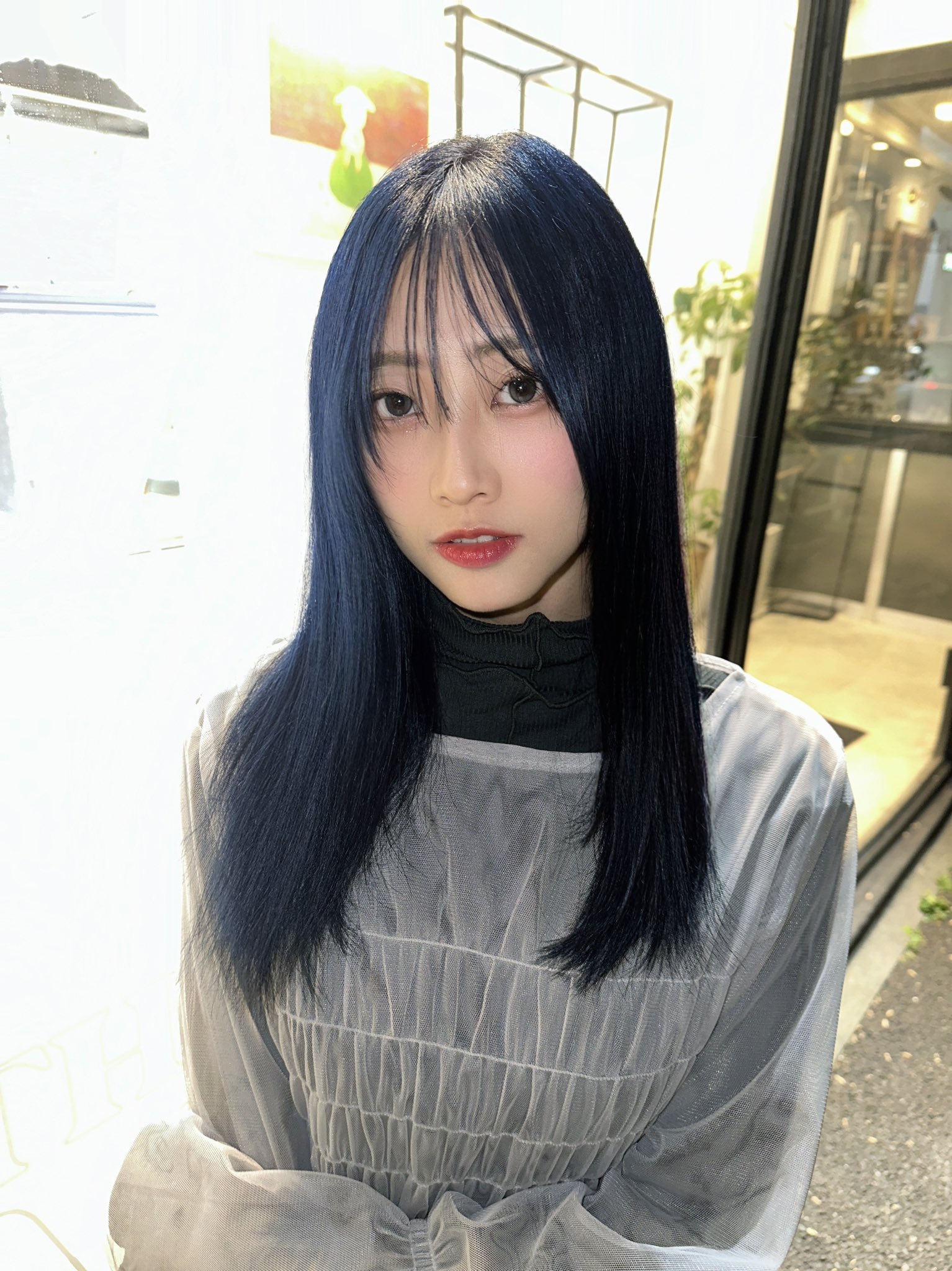 豆柴の大群　モモチ・ンゲール　セット monsteridol_momochi_art202401.