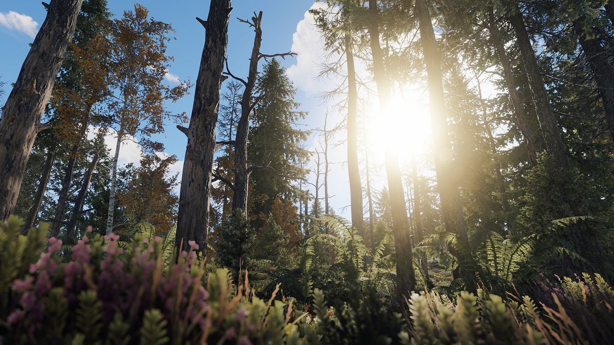Where is the most serene location in Rust?
Show us with #RustPics