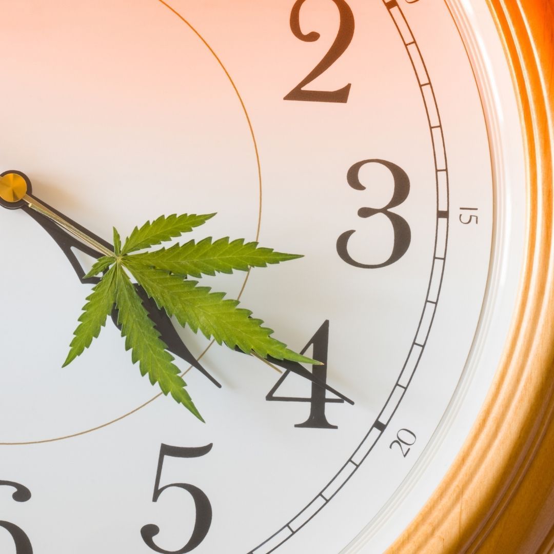 Kayacannabisco's tweet photo. High on life and embracing the 420 vibes. ✌️🌿 

#KayaColorado #420 #breaktime #hightimes https://t.co/LTwtBT38fJ